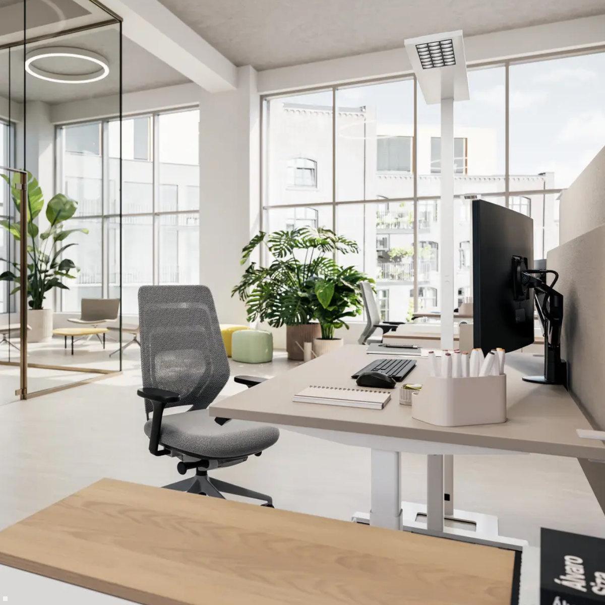 Novus Clu Duo C Monitorhalterung mit Tischbefestigung (990+4118+000), schwarz